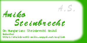 aniko steinbrecht business card